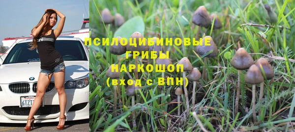 кокаин премиум Белокуриха