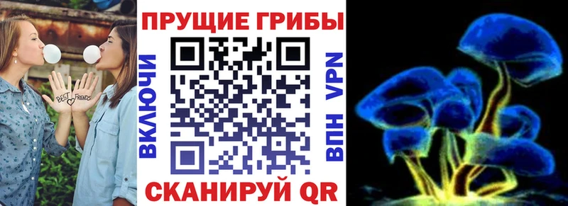 Галлюциногенные грибы ЛСД  хочу   Нижний Ломов 